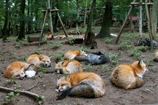 Фотоподборка