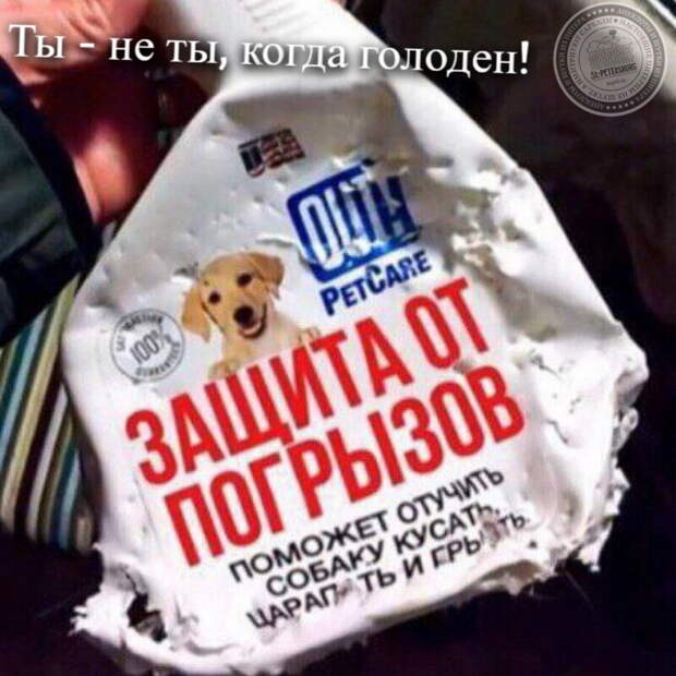 Ты - не ты, когда голоден!