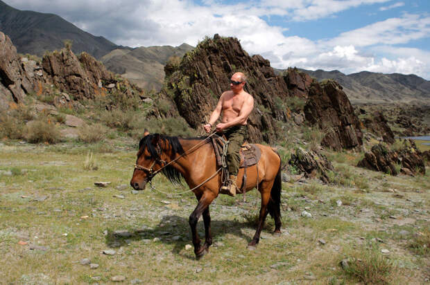 20 самых ярких фотографий Путина с животными