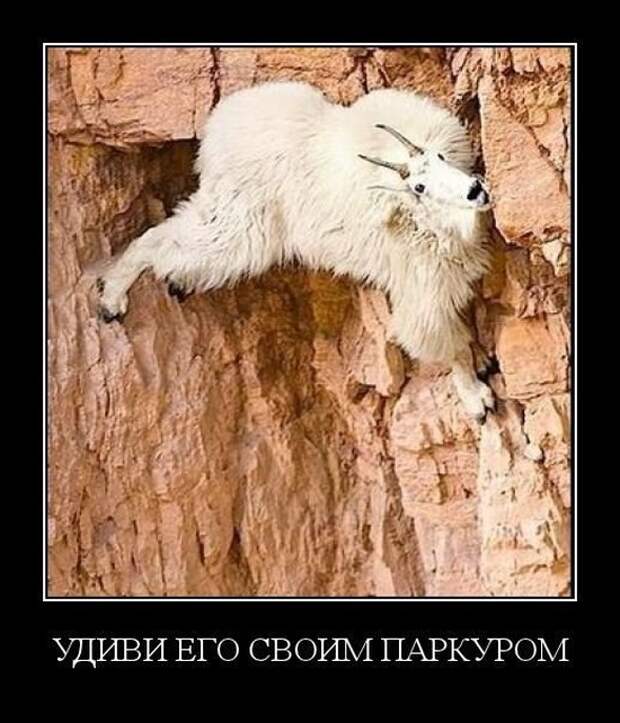 www.vsyako.net