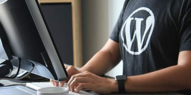 7 лучших бесплатных тем WordPress в 2021 году