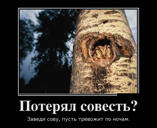 Прикольные и смешные демотиваторы для позитива (11 фото) Прикольные и смешные демотиваторы для позитива (11 фото)