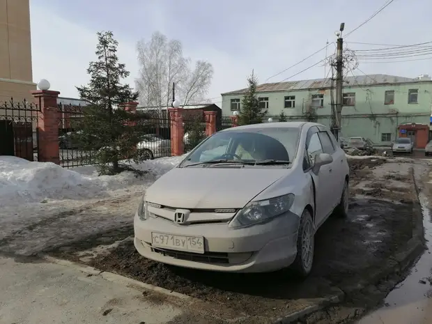 НГС раскрыл причину пыли — Новосибирск атаковали толпы истребителей газонов (смотрите где)