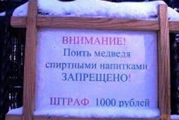 Добро пожаловать в зоопарк!