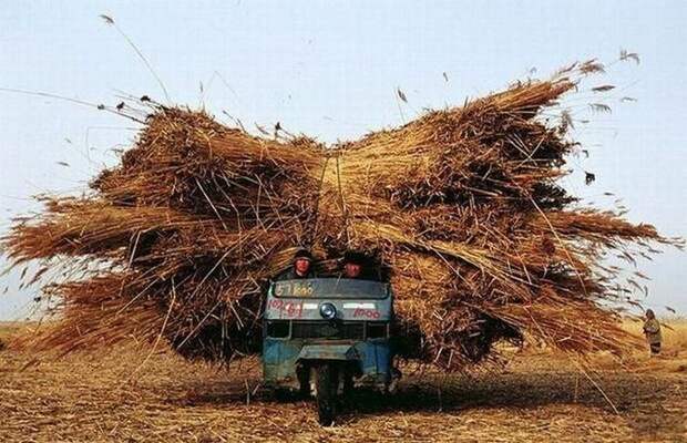 Чудные люди на дорогах (35 фото) Чудные люди на дорогах (35 фото)