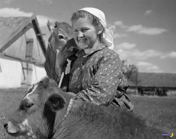 СССР 1950-60 СССР 1950-60