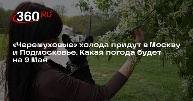 Метеоролог Позднякова: к выходным Москву и Подмосковье ждет похолодание