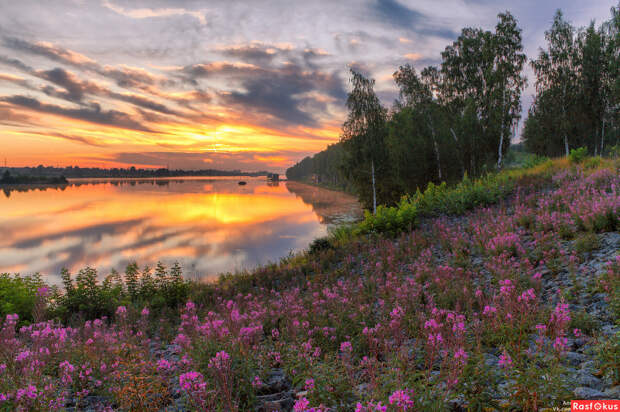 Природа Подмосковья в красивых фото Андрея Олонцева