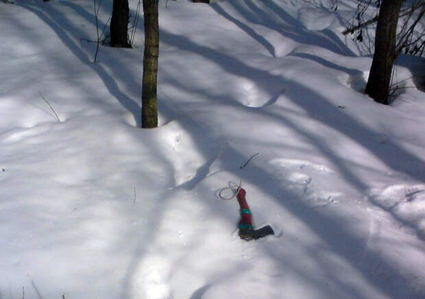 Свидетельство странных следов на снегу в Кировской области