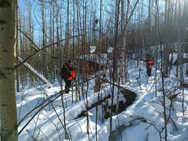 Первые сутки возобновленных поисков семьи Усольцевых не принесли результатов