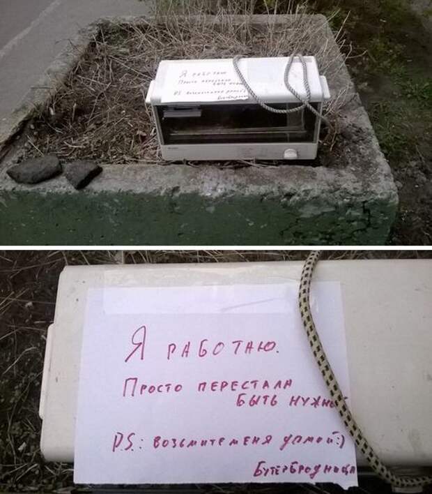 Прикольные картинки Прикольные картинки