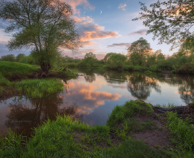 Июньский день на реке Угре фотография, лето, река Угра, красота природы, Смоленская область, Россия, длиннопост