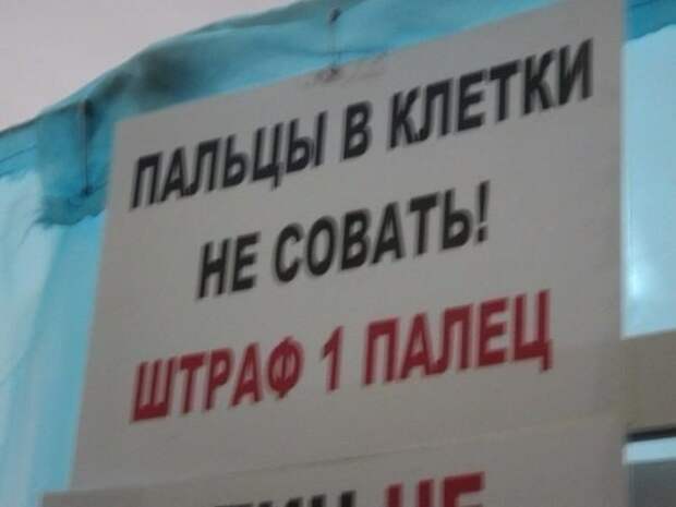 Смешные картинки с надписями Смешные картинки с надписями прикол, юмор