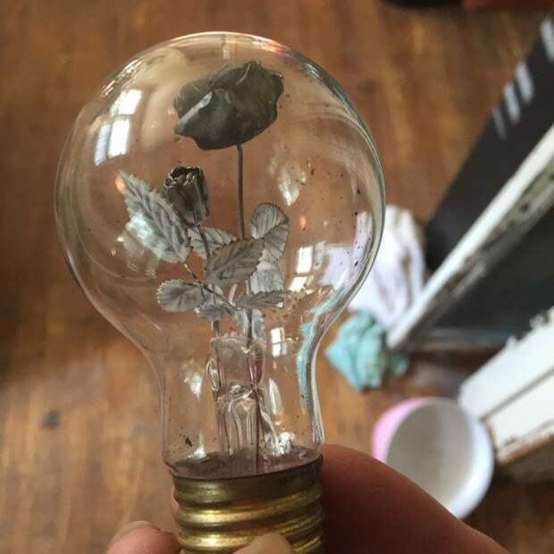Aerolux02-light-bulbs2-600x600