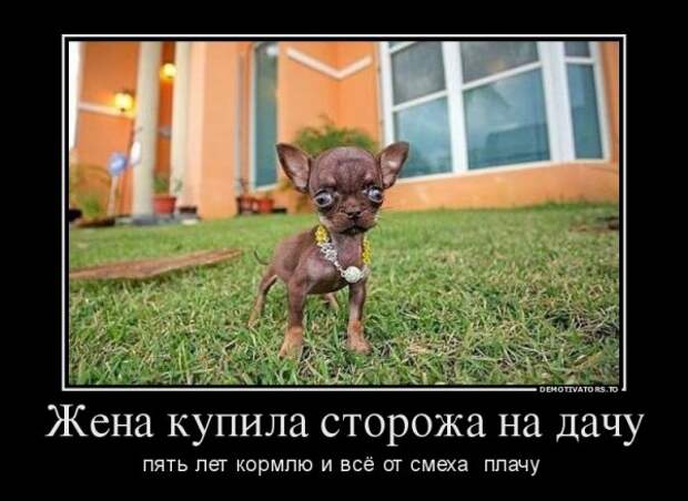 Позитивный пост+ 152