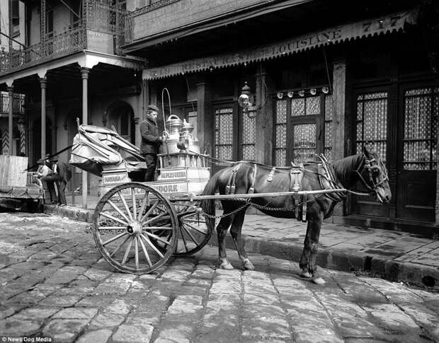 Молочник на улицах Нового Орлеана, фото 1903 года америка, исторические кадры, история, люди, новый орлеан, редкие фото, сша, фото