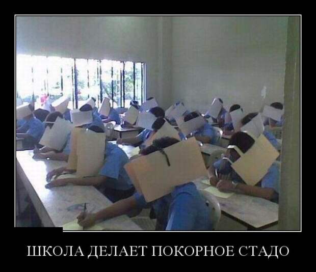 Демотиваторы (30 фото)
