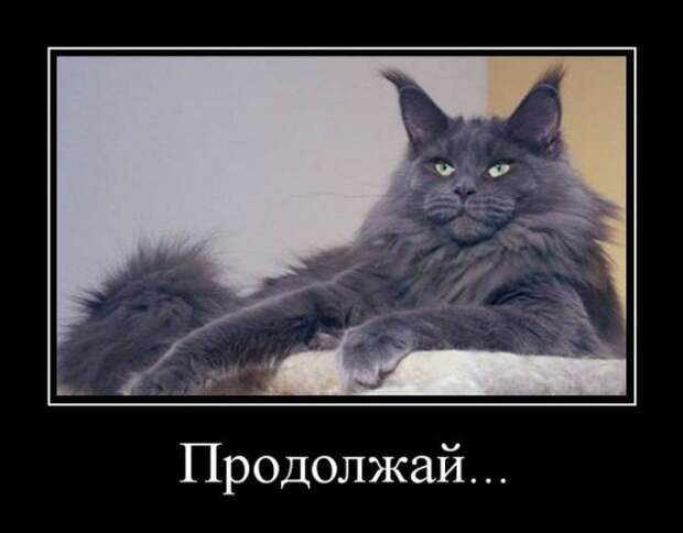 www.vsyako.net