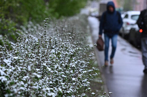 Синоптик Тишковец: снег и мороз могут вернуться в Москву перед Пасхой