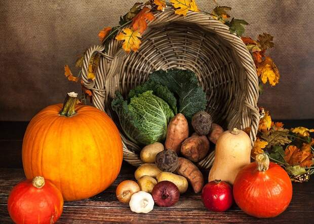 Тыква, Овощи, Осень, Корзина Благодарения, Благодарение