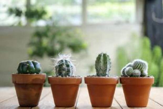 Вязанье крючком для начинающих Вязанье крючком для начинающих