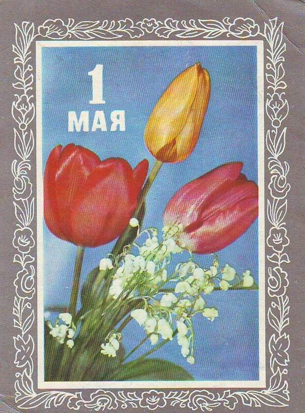 Первомай картинки красивые советские. Открытки с 1 мая. Советские открытки с 1 мая. Стильные открытки с 1 мая. Майские праздники открытки советские.