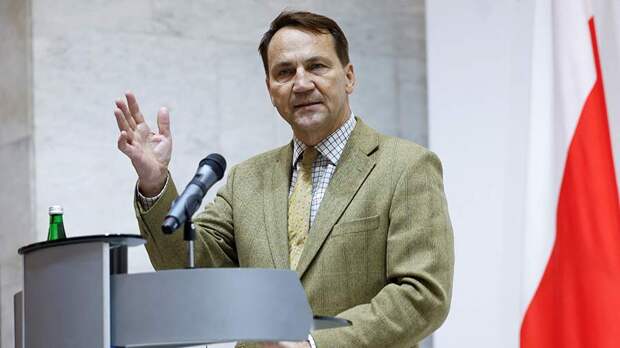 Сикорский сообщил об обсуждении вопросов военпрома с Украиной