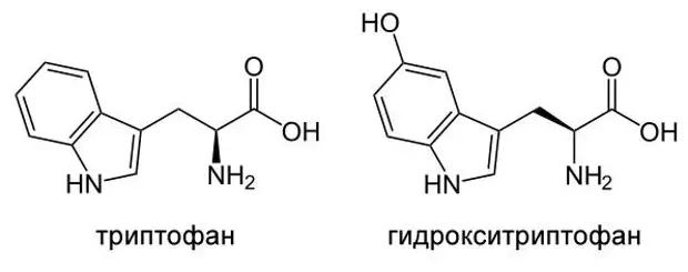 Триптофан это. Триптофан в 5 гидрокситриптофан. L триптофан формула. Гидрокси триптофан аминокислота. Синтез гидрокситриптофан.