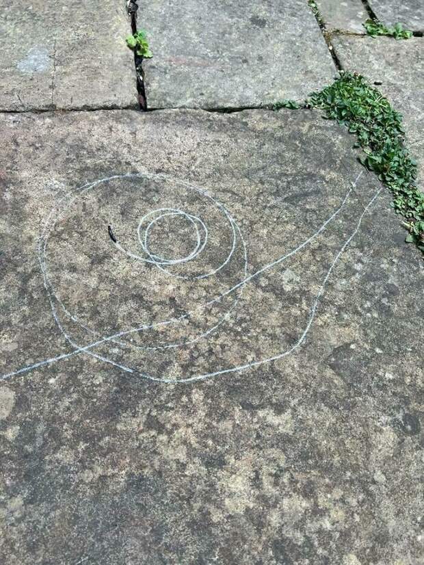 Bigpicture ru без названия 2022 10 10t091749.413