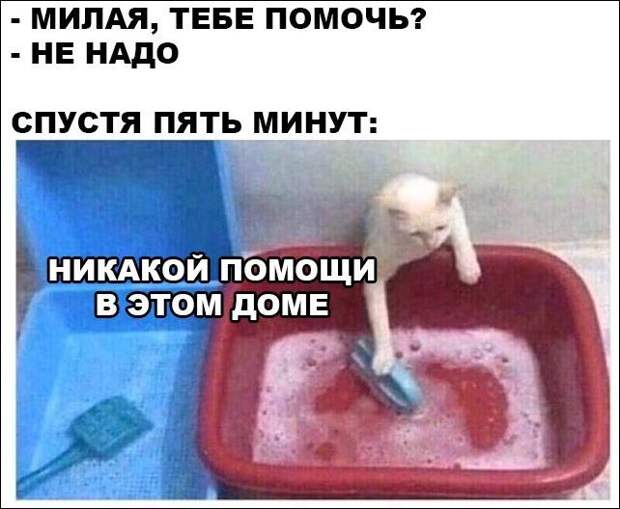 Фотоподборка