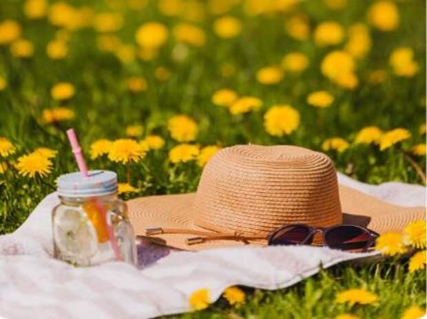 «29 мая был последним самым жарким днем»: какая погода ожидается в России в июне