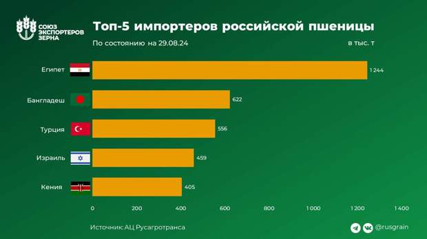 Египет лидирует в рейтинге импортеров российской пшеницы