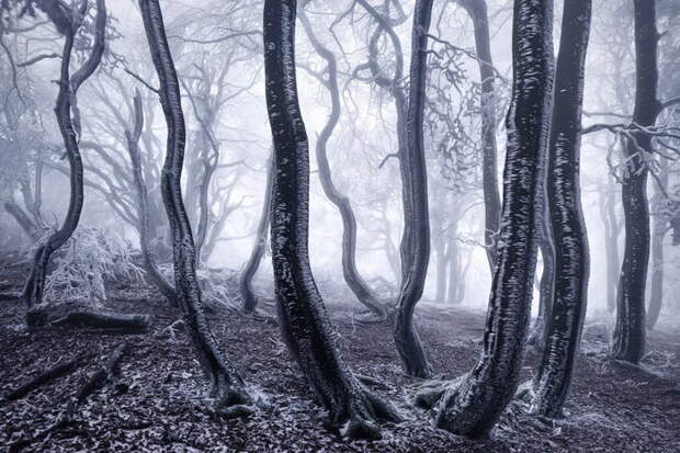 Зима в фотографиях Kilian Schonberger Зима в фотографиях Kilian Schonberger