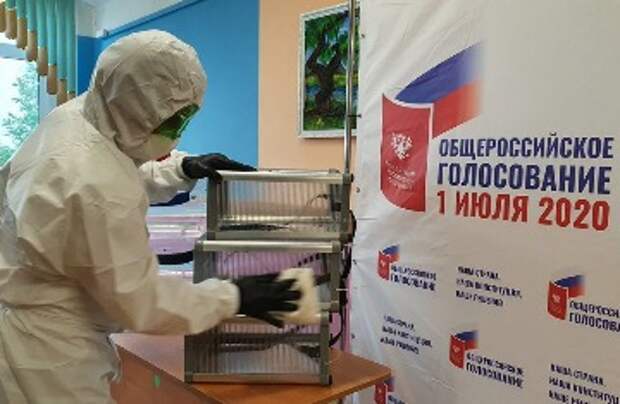 В Петербурге голосование за Конституцию превращается в «принуждение к любви»