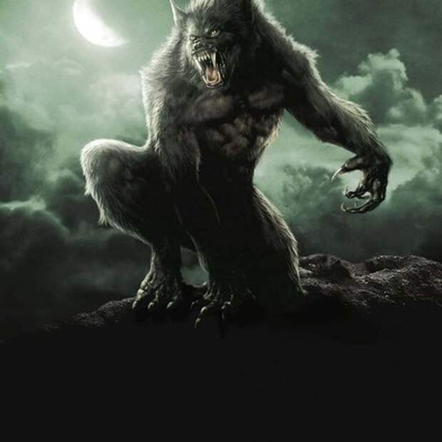 Картинки по запросу волк страшный фото