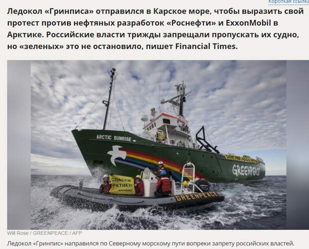 Фото: Will Rose / GREENPEACE / AFP // RT