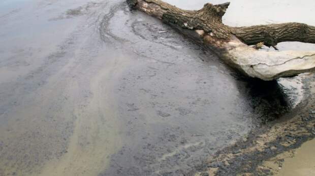 Попавшие в реку Колва нефтепродукты вылавливают бочками и экскаватором