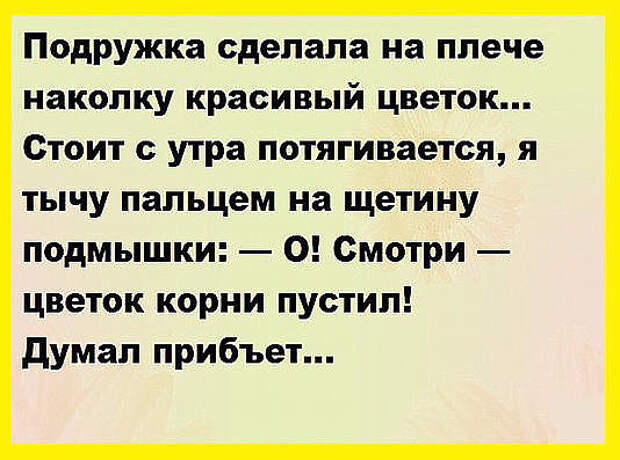 image (11) (534x397, 206Kb)