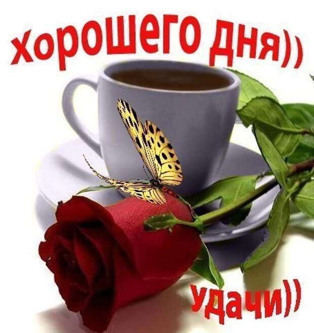 Хорошего дня и отличного настроения. Цветы с конфетами. Открытки с добрым днём. Добрый день и вам хорошего дня. Доброго дня и хорошего настроения.