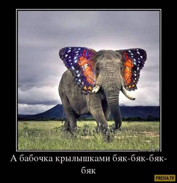 Прикольные демотиваторы с надписями. Подборка chert-poberi-dem-chert-poberi-dem-53180208062020-1 картинка chert-poberi-dem-53180208062020-1
