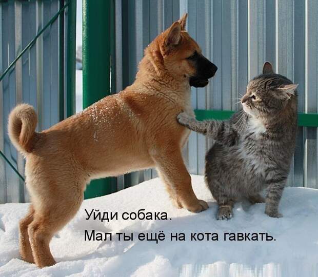 555555