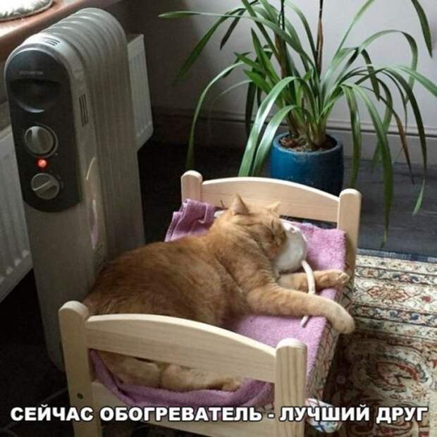 Свежая порция прикольных фотомемов (25 шт)
