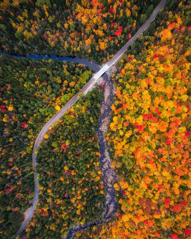 Красота осени в разных штатах Америки