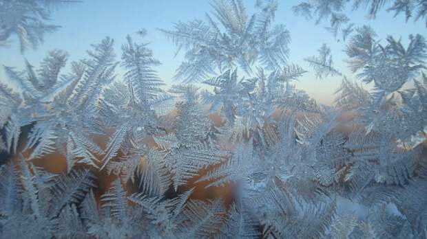 Морозная красота: ледяное искусство природы