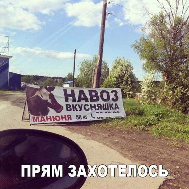 Картинки со смешными подписями (20 фото)