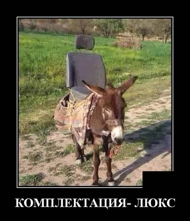 www.vsyako.net