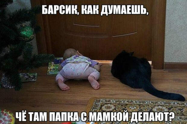 Смешные картинки с надписями картинки, надписи, позитив, юмор