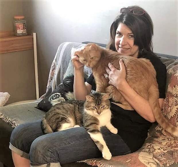 Женщина гладит котов Женщина с котами
