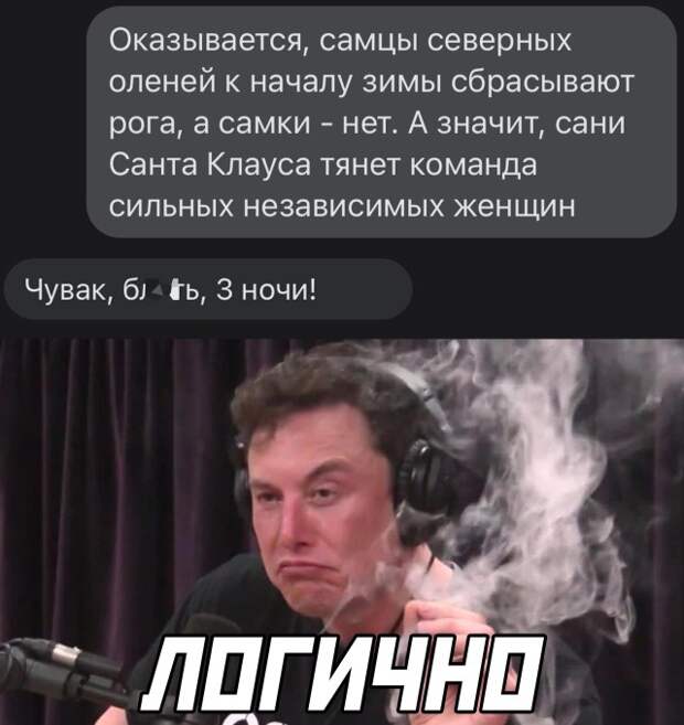 Смешные картинки 28 декабря 2021 года