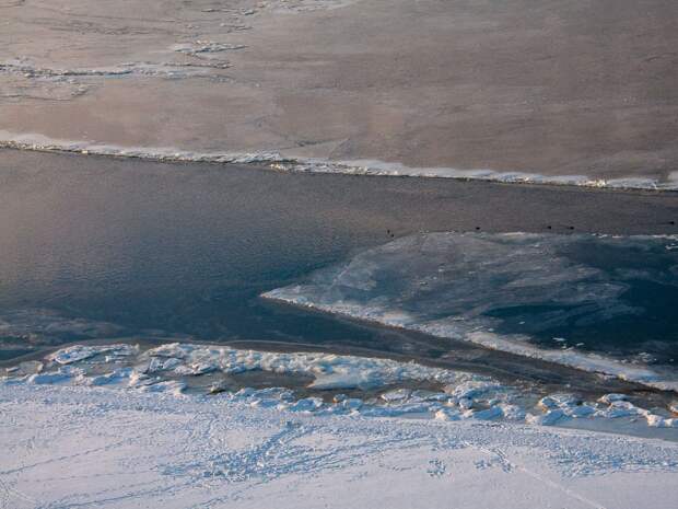 Прогноз погоды радует: морозы в Тюменской области ослабнут